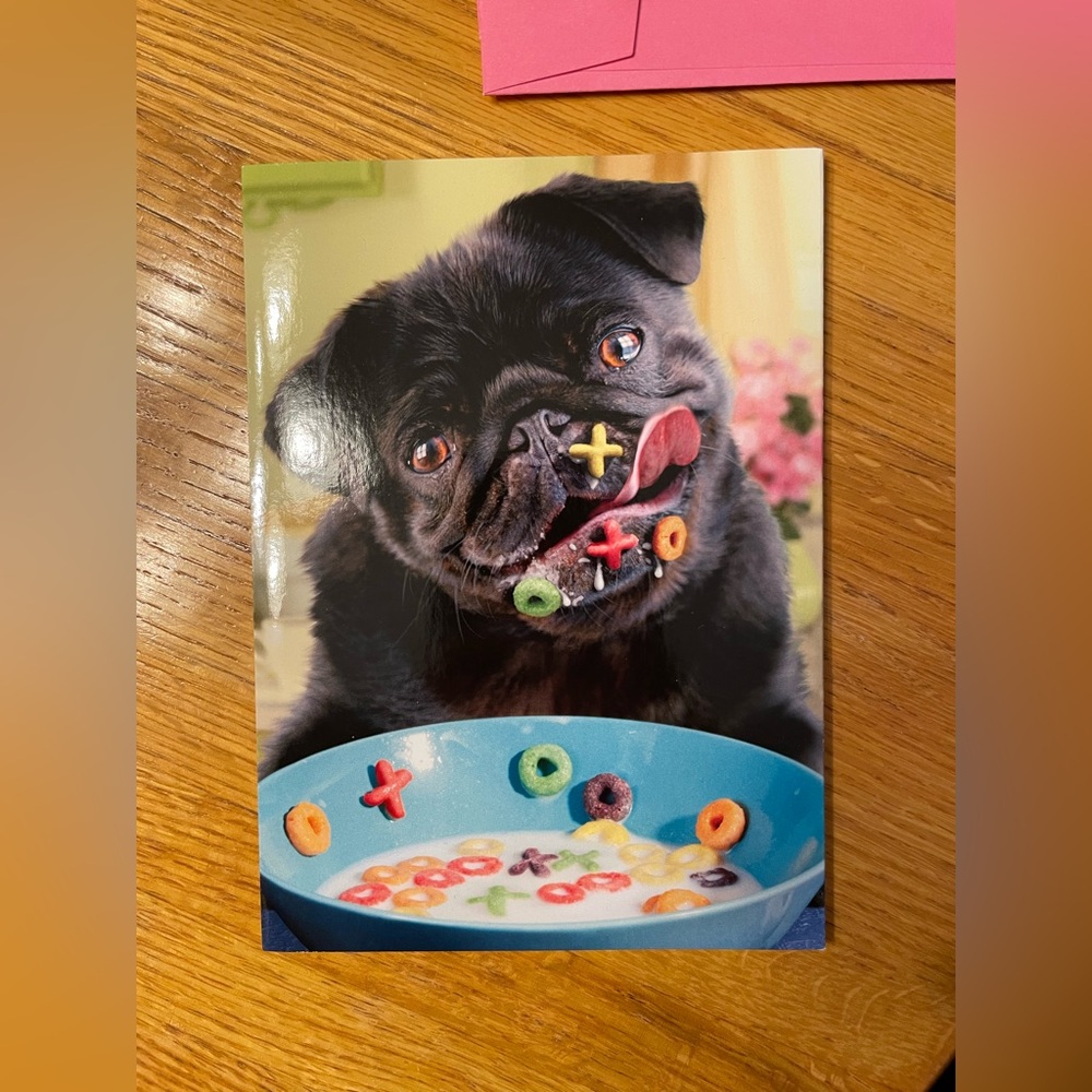 Valentine's Day Pop Up Greeting Cards with Cute Black Pug - Set of 3 - Picture 2 of 4
